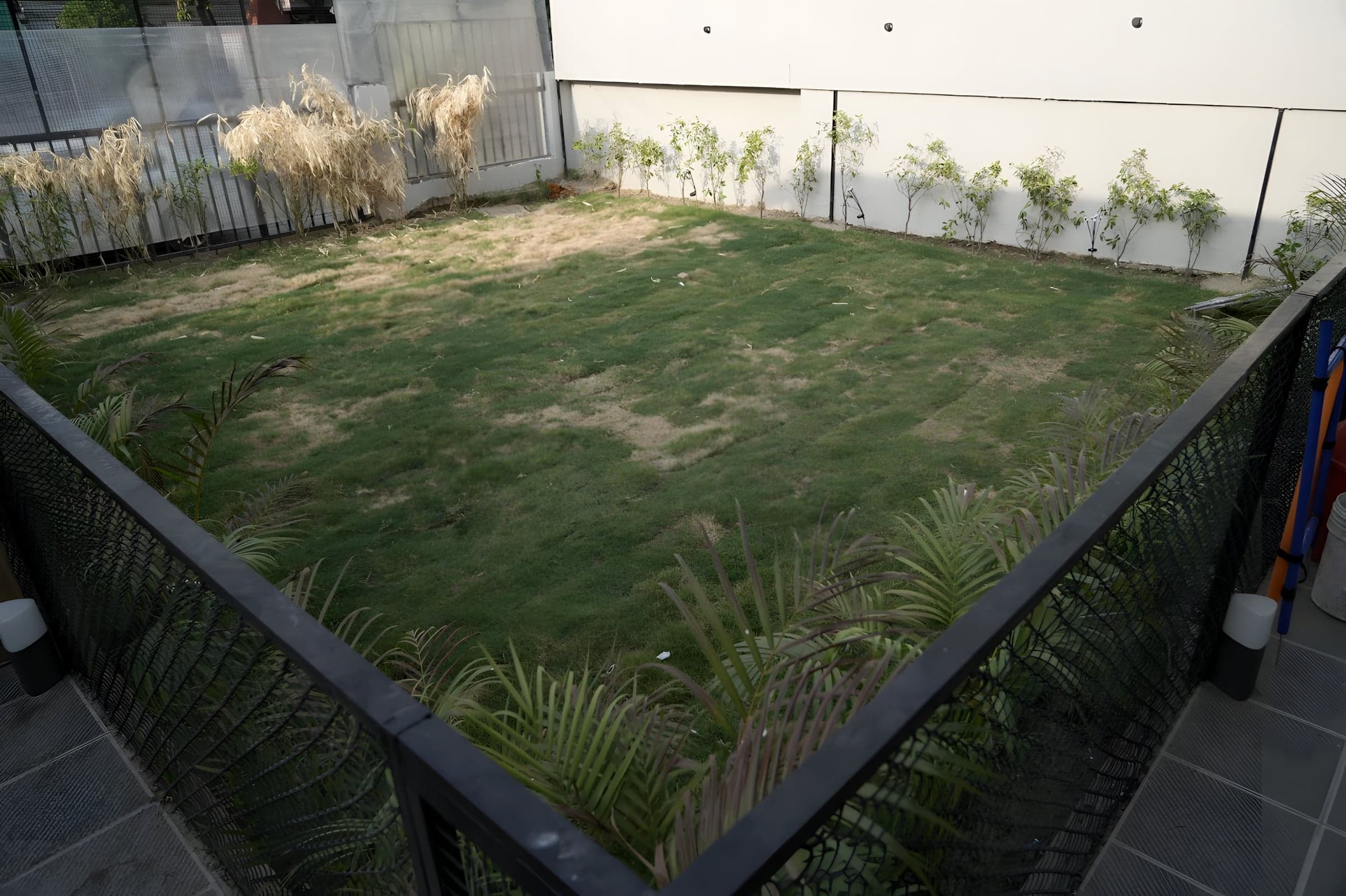 The fenced, grassy play area