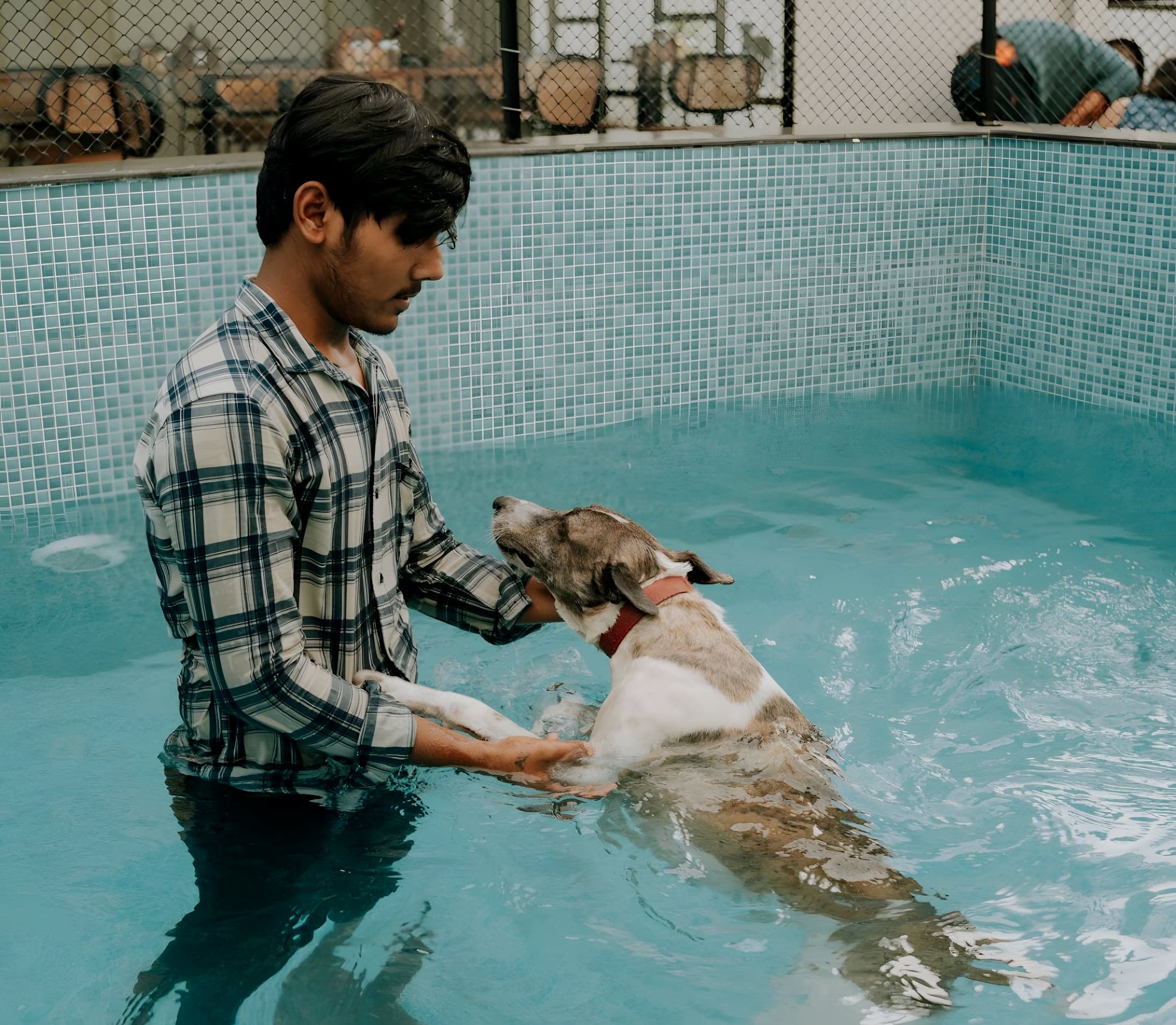 A guest in the pool, helping a dog swim