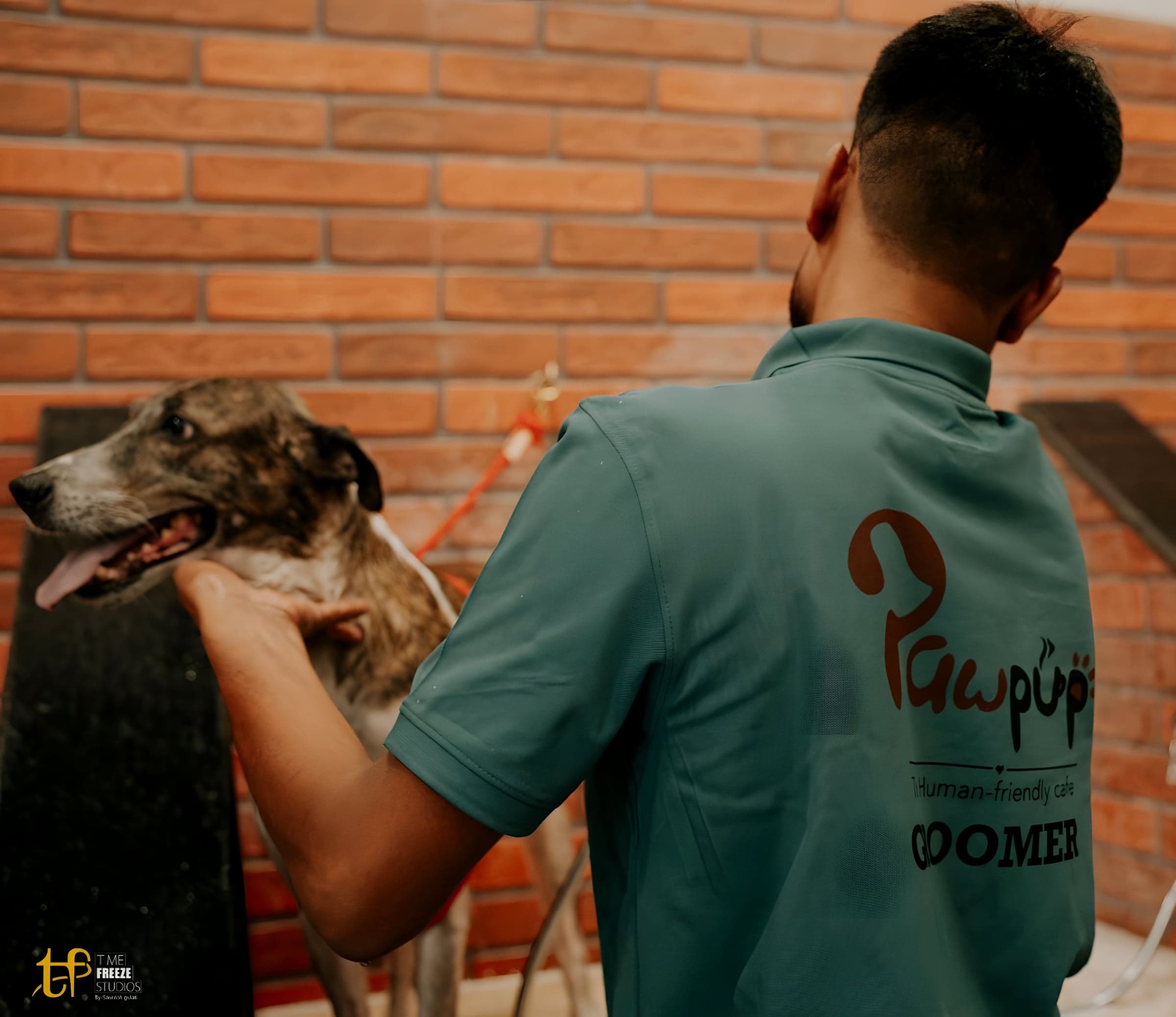 A Pawpup groomer in the café’s teal uniform with a dog in the spa